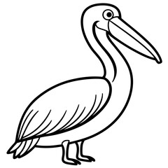 Pelican line art vector