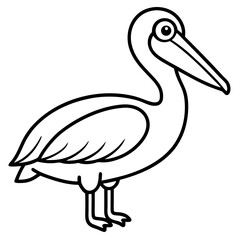 Pelican line art vector