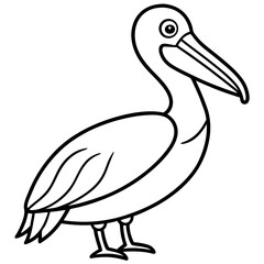 Pelican line art vector