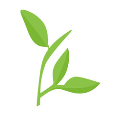 vector natural green leaf branch