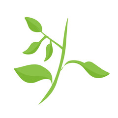 Obraz premium vector natural green leaf branch