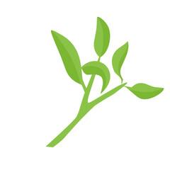 Obraz premium vector natural green leaf branch