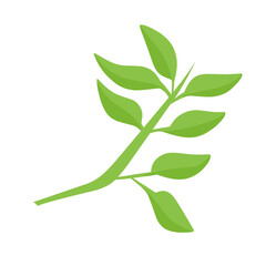 vector natural green leaf branch