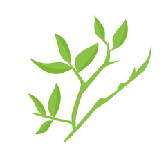vector natural green leaf branch