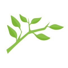 vector natural green leaf branch
