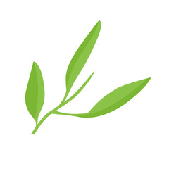 vector natural green leaf branch