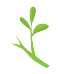 vector natural green leaf branch