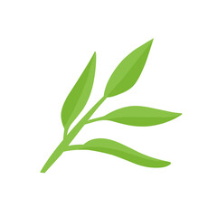vector natural green leaf branch