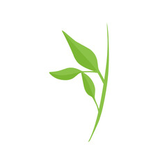 Obraz premium vector natural green leaf branch