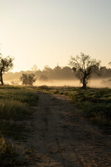 sunrise in the morning