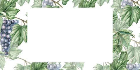 Rectangular frame with grapevine and ripe grapes. Isolated watercolor illustration for packaging design, restaurant menu, culinary blogs and magazines.