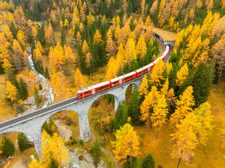 Railway and express. Aerial view. Viaduct among the forest. Train on the bridge. Autumn landscape...