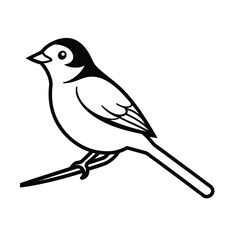 small bird perched on branch vector illustration on white background 