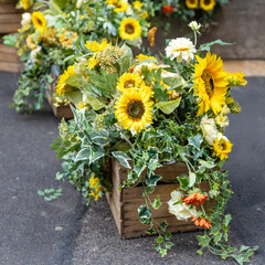 Sunflowers and Greenery in Wooden Crates. Decoration of the street