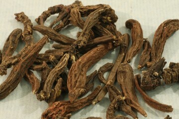 Euphorbia pekinensis Rupr. (Dae-geuk), a toxic herbal root for edema reduction and detoxification....