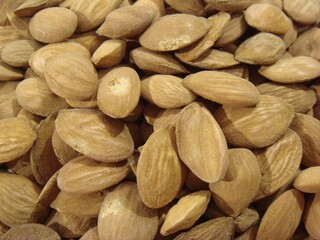 Prunus davidiana Fr. (Do-in), a medicinal peach kernel used for promoting blood circulation and relieving constipation. Photographed in Korea.