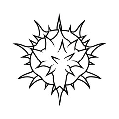 spiky vine outline illustration on white background 