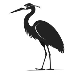 Egret clean black silhouette design white background