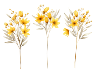 bouquet of yellow flowers. yellow flower border. Watercolor flower. yellow flower with green leaves. floral frame and background. flower border illustration set. Watercolor floral. PNG, transparent
