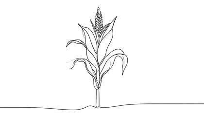 Single line drawing of corn plant