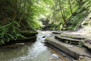 Stony brook stream flowing through the gorge. Stony Brook State Park.