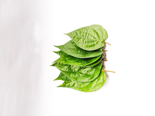  Betel leaf on white background