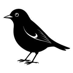 Warbler vector clean black silhouette design white background