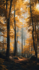 Fototapeta premium Autumn Forest with Fog and Golden Leaves on Transparent Background