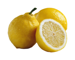 Fresh lemon slices kitchen food bright environment, isolated on transparent background, png