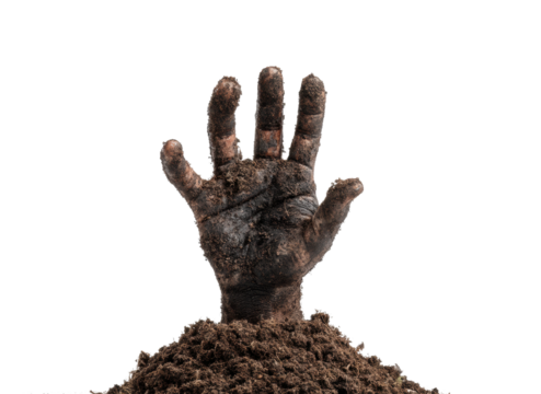 Emerging hand from soil conceptual symbolism, isolated on transparent background, png