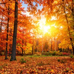 Sunlit autumn forest with vibrant foliage and fallen leaves (1)