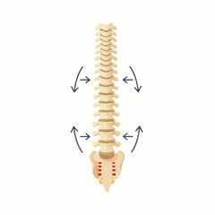 whisk_opdngc_via_RJ_Whisk_Auto_vector