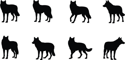 Wolf silhouette collection, wild animal vector art, canine predator shapes, black wolf outlines, standing and walking wolves, wildlife illustration pack, wolf posture set, hunting and alert positions