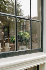 view from window of a house, flower pot, Amsterdam