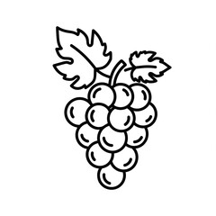 Fototapeta premium grapes vector illustration