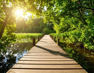 Obraz premium Sunlit wooden boardwalk over calm water, lush green foliage framing the path