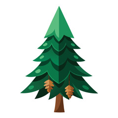 Obraz premium Spruce tree with classic triangular shape and dark green needles