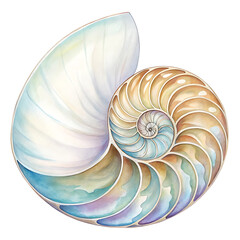 Obraz premium Elegant Watercolor Clip Art of a Nautilus Shell in Spiral Form, Nature Illustration, Serene Background