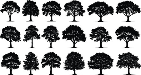 Silhouettes of twenty different trees, botanical illustration, coniferous and deciduous shapes, forest design elements, nature icons, educational, black graphic art