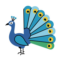 Fototapeta premium A stylized peacock illustration with a fanned tail displaying various shades of blue and green.