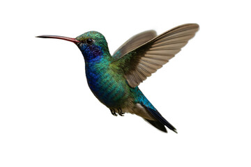 Obraz premium A beautiful, vibrant hummingbird in mid-flight with shimmering blue and green feathers on a clean background, capturing its delicate motion and elegant form.