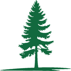 Fototapeta premium Evergreen Tree Silhouette Vector Illustration of a Tall Pine Tree with Green Foliage