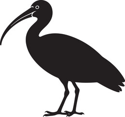 Obraz premium Elegant illustration of an ibis bird in flight rendered in vibrant colors