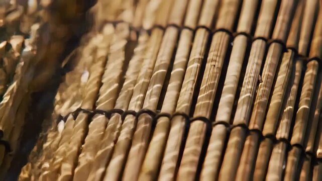 Warm Bamboo Stalks Forming a Textured Surface in Natural Light and Shallow Depth of Field