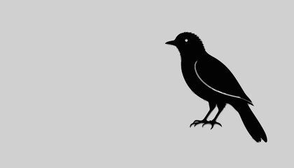 Obraz premium Black crow perched on a branch vector illustration