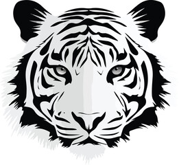 Fototapeta premium White tiger head illustration