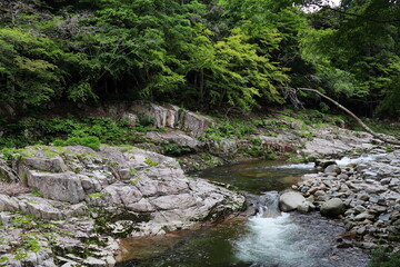 初夏の奥津渓の風景