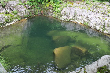 奥津渓谷の緑の水面に見える巨石