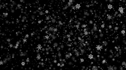 Winter snow - falling snowflakes animation, seamless loop. Alpha channel.
 - Powered by Adobe