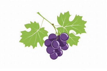 Flat vector illustration of a purple grape cluster with stem and green leaf isolated on white background with copy space. Perfect for wine, food, farming, logos, labels, packaging, ads, design, apps